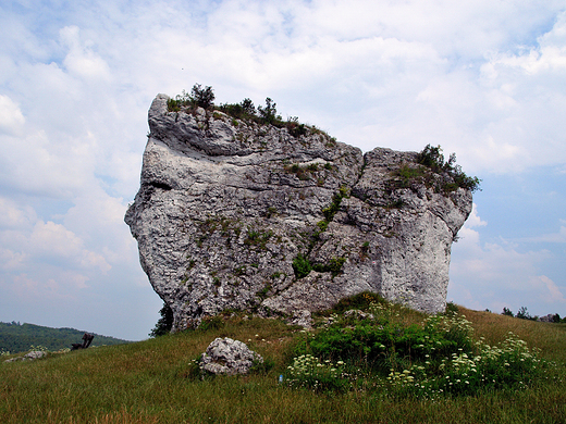 Mirw. Ostaniec.