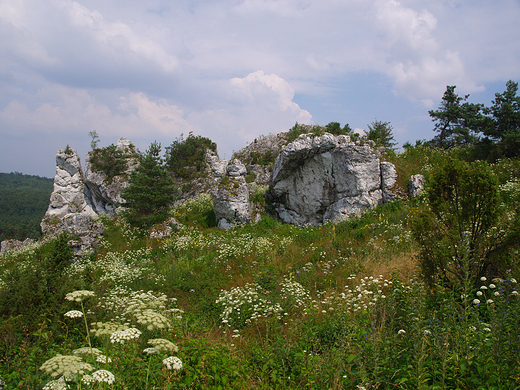 Krajobraz jurajski koo Mirowa.