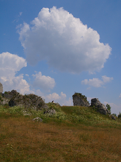 Jurajski krajobraz z okolic Mirowa.