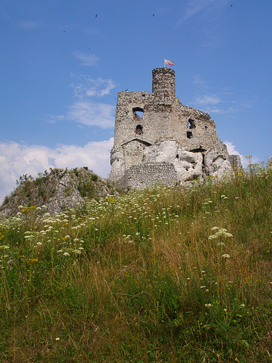 Ruiny zamku warownego z XIV w. wzniesionego przez Kazimierza Wielkiego.