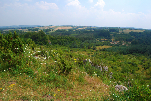 Jura Krakowsko-Czstochowska. Widok z okolic Mirowa.