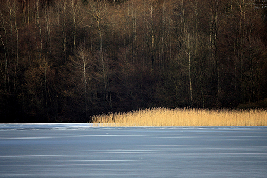 Jezioro Brodno Wielkie