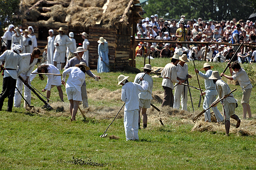 Ciemiona przez Zakon ludno. Grunwald 2010