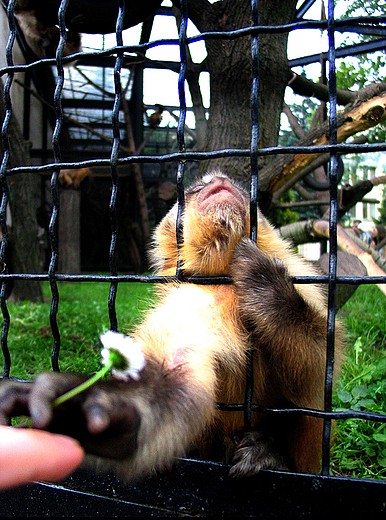 Warszawskie ZOO II