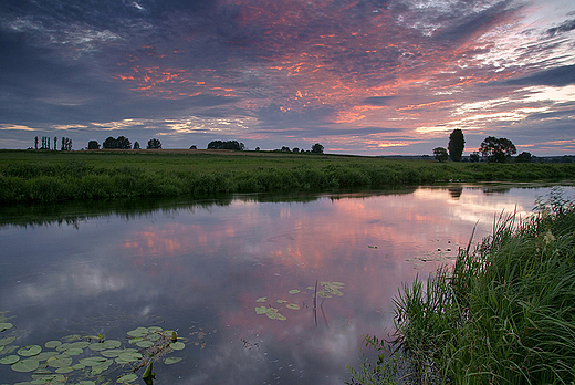 Narew - okolice wsi Ruszczany