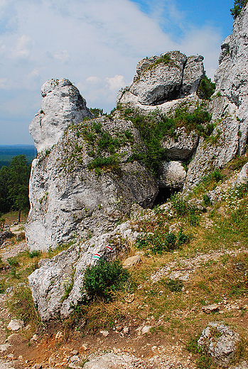 Jurajskie skay na Grze Zborw.