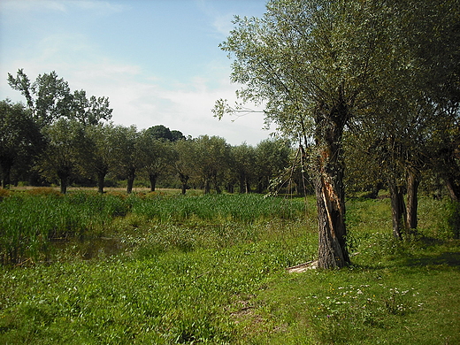 Szczypiorno. Nad Wkr.