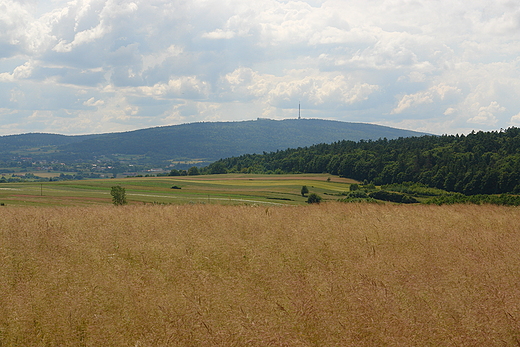 ysa Gra. Widok z Pokrzywianki