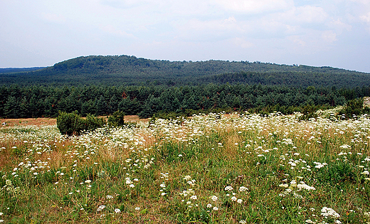 Panorama Jury spod ruin zamku w Mirowie.