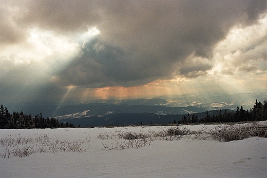 Hala na Maej Raczy. Beskid ywiecki