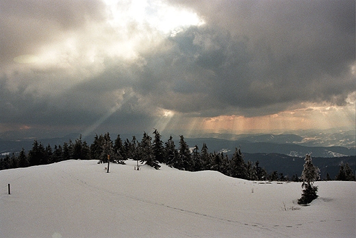 Pasmo graniczne niedaleko Wielkiej Raczy (1236 m.n.p.m.). Beskid ywiecki