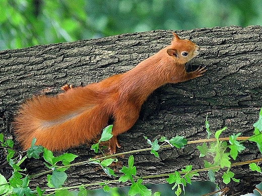 W słoneczku