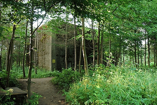 Bunkry - Mamerki