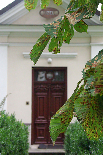 Muzeum Ziemi Karczewskiej. Stara Plebania w... starej plebanii