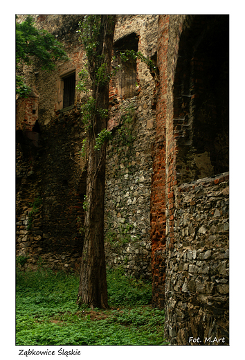 Zbkowice lskie - zamek