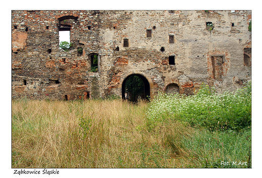 Zbkowice lskie - zamek