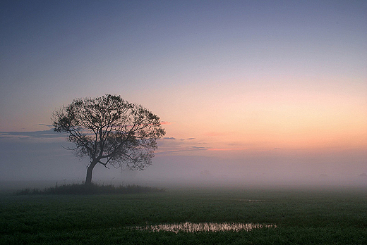 Magia Podlasia