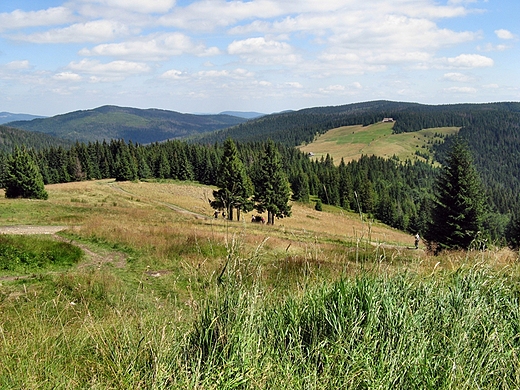 Widok na Hal Turbacz i Kudo