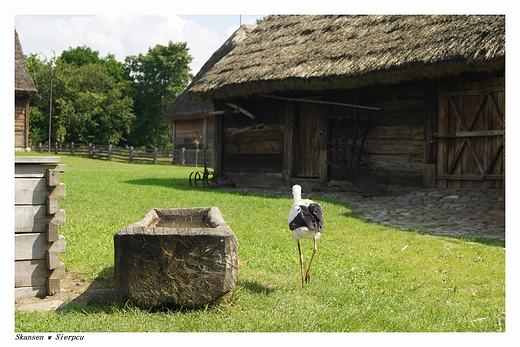 Muzeum Wsi Mazowieckiej w Sierpcu - Zagroda z Dzierni