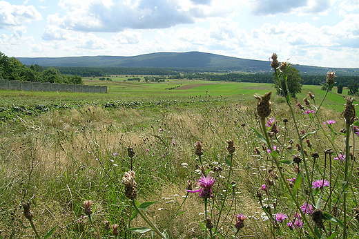 Widok na witokrzyski PN