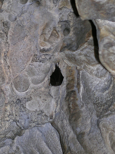 Jaskinia Gboka