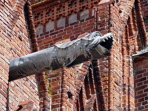 Frombork - rzygacz na kociele katedralnym