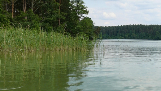 Mazurskie wody. Jezioro Pluszne