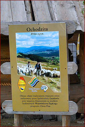 Program Owca Plus na Ochodzitej :)
