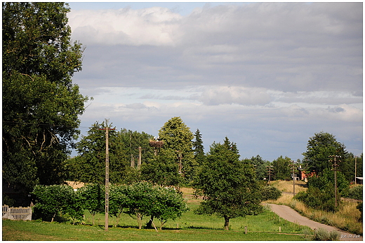 Wdrwki te blisze i te dalsze. Ciemniki