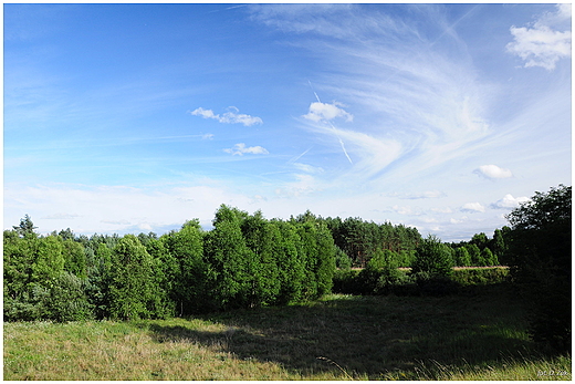 Wdrwki te blisze i te dalsze. Ciemniki