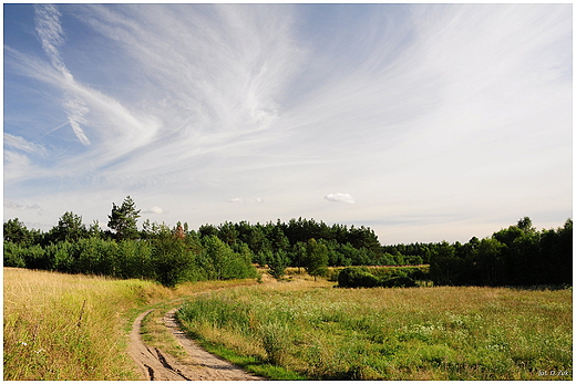 Wdrwki te blisze i te dalsze. Ciemniki