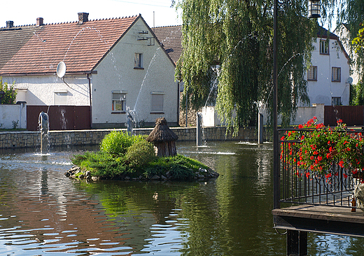 Kamie lski. Fragment stawu w centrum wsi.