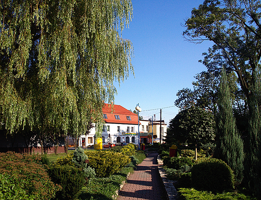 Kamie lski. Park przkocielny.