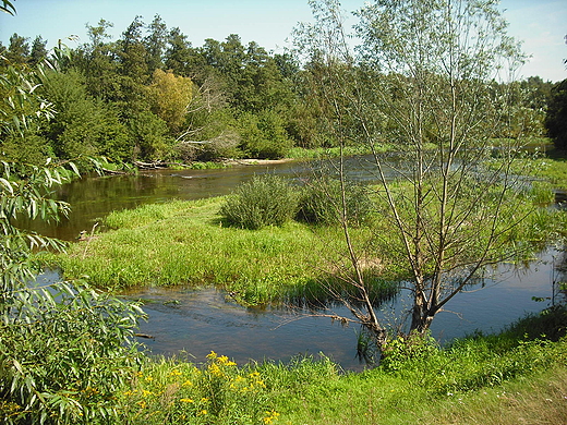 Szczypiorno. Nad Wkr.