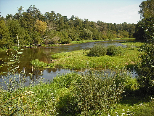 Szczypiorno. Nad Wkr.