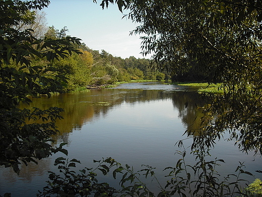 Szczypiorno. Nad Wkr.