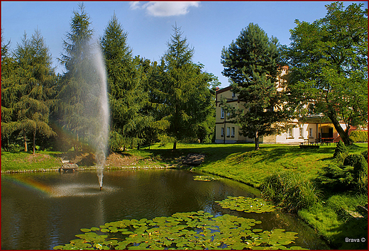 Zesp dworski w Czernicy - paacowy stawek z fontann
