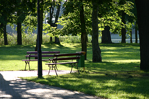 park w Sztynorcie