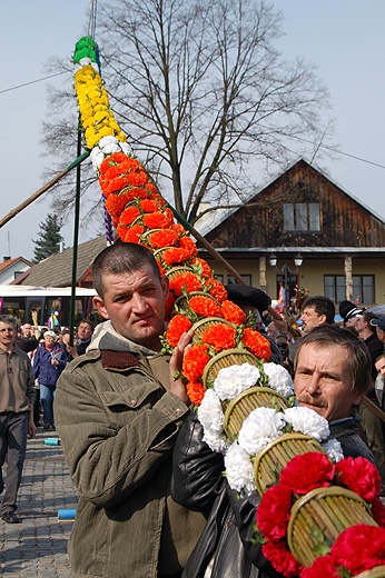 Lipnica Murowana - podnoszenie zwyciskiej palmy