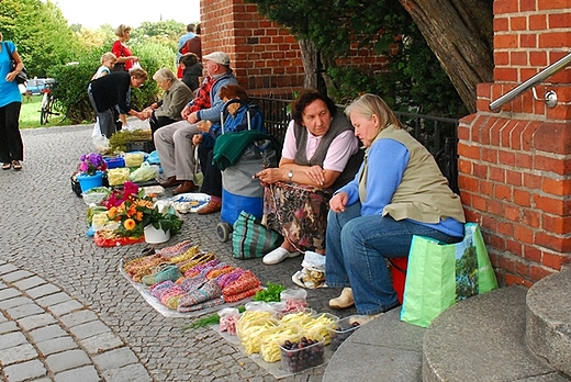 Przekupki raciborskie