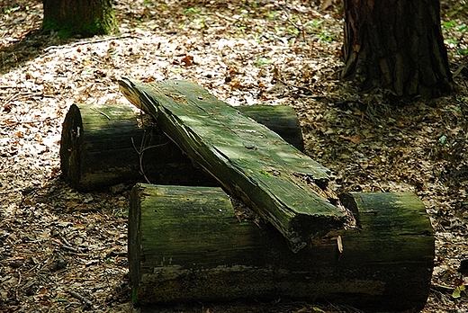 Racibrz- Obora-Arboretum Bramy Morawskiej