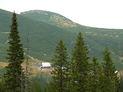 Hala Gsienicowa