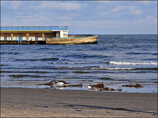 Nad Batykiem. Fragment mola w Koobrzegu.