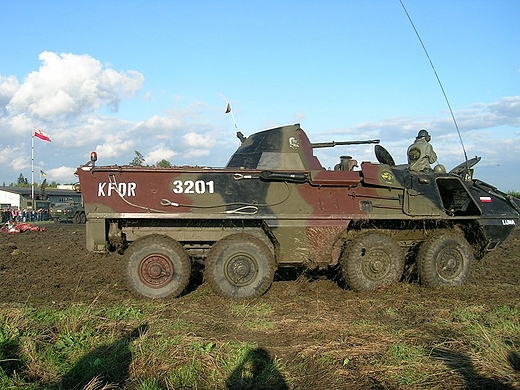 Gliwice.Piknik Lotniczo-Militarny -2010.