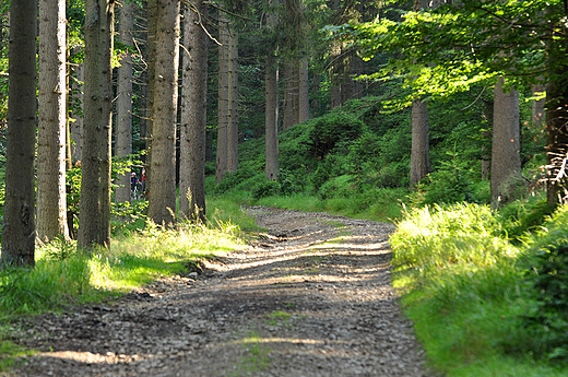 Dukt Nad Spawami. Gry Bialskie