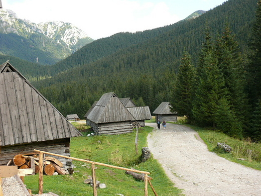 W Dolinie Chochoowskiej , krainie pikna i morza krokusw