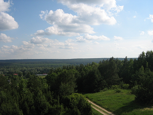 Widok z wiey widokowej w Mielniku