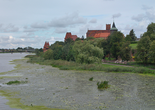 Malbork. Widok na zamek.