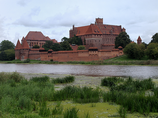 Zamek w Malborku.