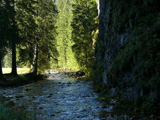 W Dolinie Kocieliskiej